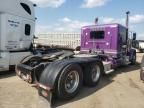 2014 Peterbilt 389