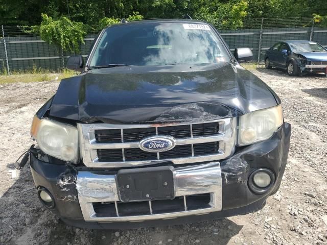 2010 Ford Escape Limited