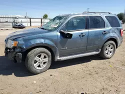 Ford salvage cars for sale: 2011 Ford Escape Hybrid