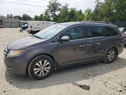 Honda salvage cars for sale: 2015 Honda Odyssey EXL