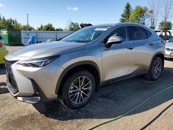 Lexus Vehiculos salvage en venta: 2023 Lexus NX 250