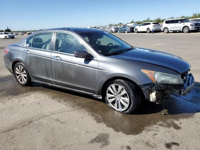 2011 Honda Accord EXL