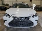 2021 Lexus ES 250 Base