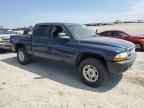 2004 Dodge Dakota Quad Sport