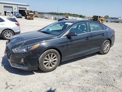 Salvage cars for sale at Earlington, KY auction: 2019 Hyundai Sonata SE