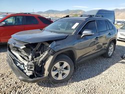 Salvage cars for sale at Magna, UT auction: 2020 Toyota Rav4 XLE