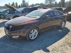 2013 KIA Optima EX en venta en Graham, WA