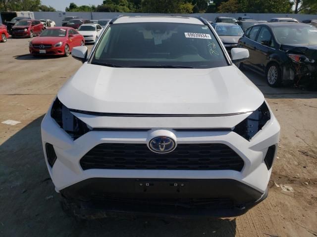 2024 Toyota Rav4 XLE