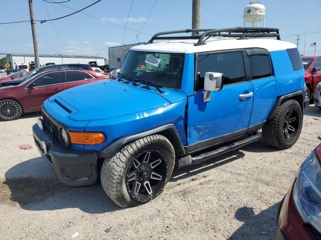 2007 Toyota FJ Cruiser