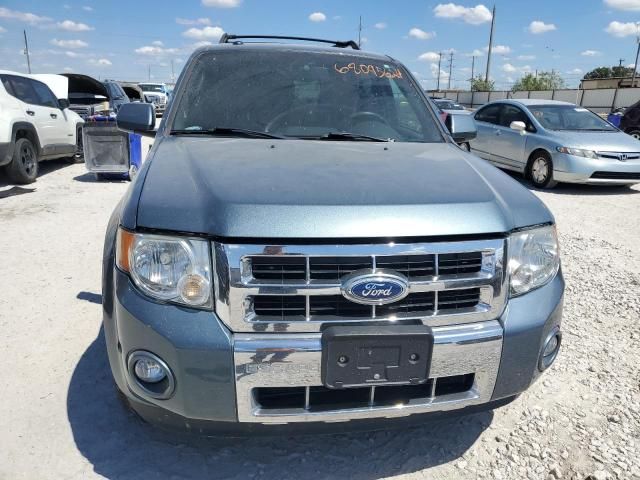 2011 Ford Escape Limited