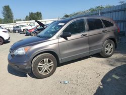 Salvage cars for sale at Arlington, WA auction: 2010 Honda CR-V EX