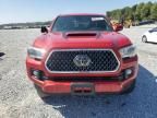 2019 Toyota Tacoma Double Cab