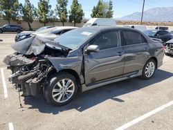 Toyota salvage cars for sale: 2010 Toyota Corolla Base