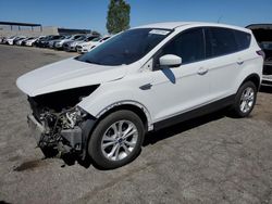 Salvage cars for sale at North Las Vegas, NV auction: 2017 Ford Escape SE