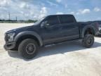 2019 Ford F150 Raptor