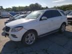 2015 Mercedes-Benz ML 250 Bluetec