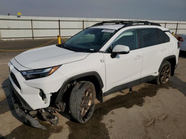 2023 Toyota Rav4 Woodland Edition