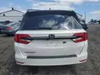 2023 Honda Odyssey EXL