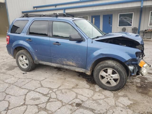 2009 Ford Escape XLT