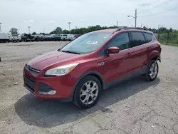 Salvage cars for sale at Indianapolis, IN auction: 2013 Ford Escape SE