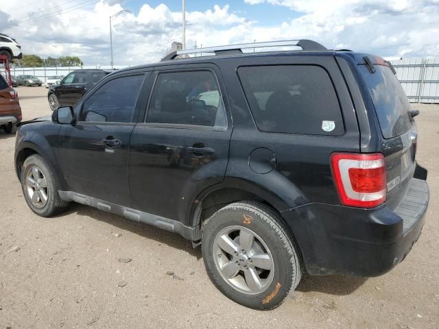 2009 Ford Escape Limited