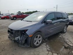 Salvage cars for sale at Indianapolis, IN auction: 2019 Honda Odyssey EX