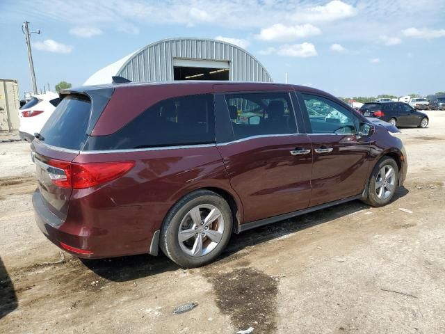 2019 Honda Odyssey EXL