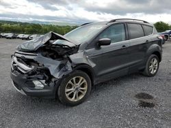 Ford Vehiculos salvage en venta: 2018 Ford Escape SEL