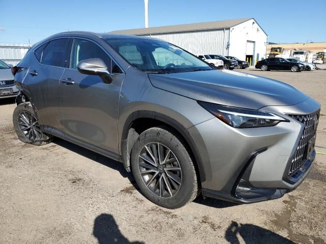 2023 Lexus NX 250