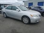 2008 Toyota Camry Hybrid