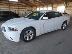 Salvage cars for sale at Phoenix, AZ auction: 2011 Dodge Charger