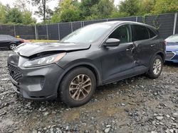 Salvage cars for sale at Waldorf, MD auction: 2020 Ford Escape SE