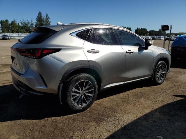 2024 Lexus NX 250 Base