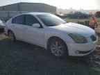 2006 Nissan Maxima SE