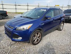 Salvage cars for sale at Cahokia Heights, IL auction: 2014 Ford Escape Titanium