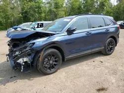 2025 Honda CR-V EXL en venta en Cookstown, ON