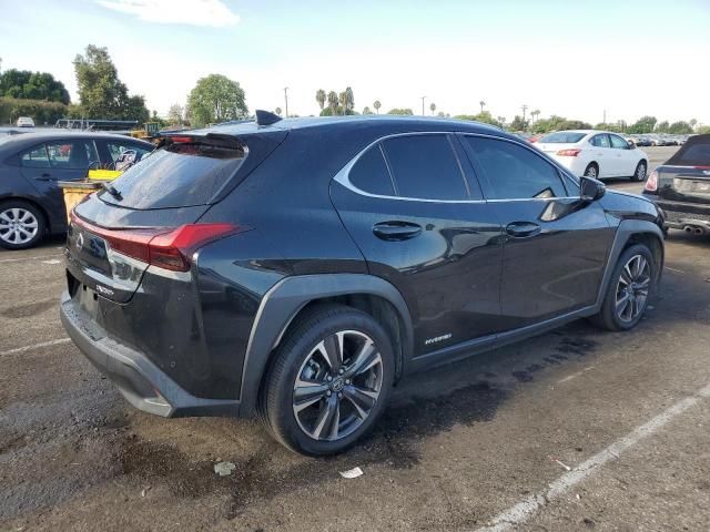 2020 Lexus UX 250H