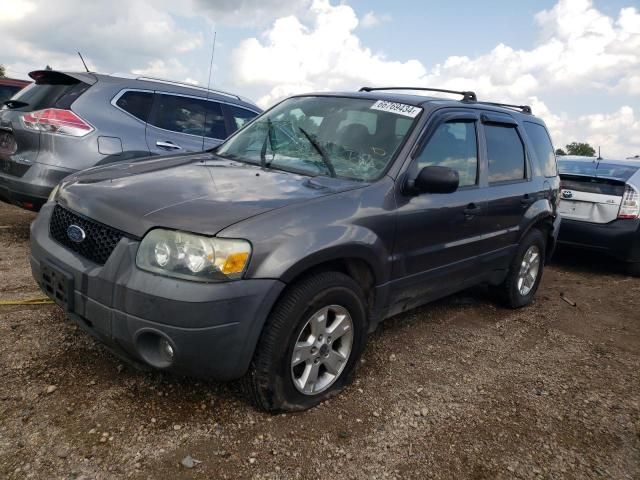 2005 Ford Escape XLT