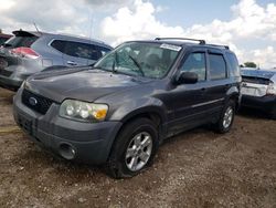 2005 Ford Escape XLT en venta en Elgin, IL