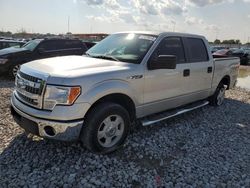 Salvage trucks for sale at Cahokia Heights, IL auction: 2013 Ford F150 Supercrew