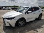 2024 Lexus NX 250 Premium