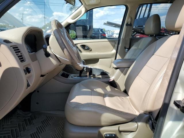 2005 Ford Escape XLT