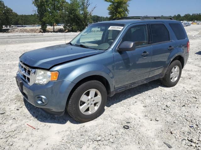 2010 Ford Escape XLT