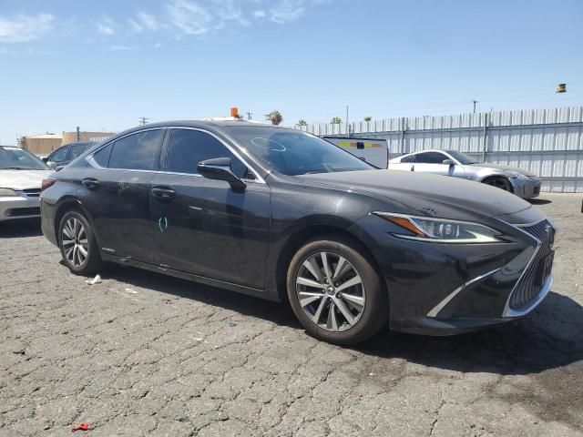 2020 Lexus ES 300H