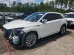 2024 Infiniti QX50 Sensory