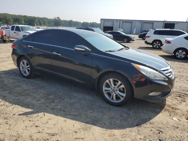 2011 Hyundai Sonata SE