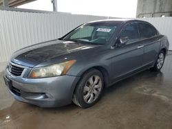 Salvage cars for sale at West Palm Beach, FL auction: 2010 Honda Accord EXL