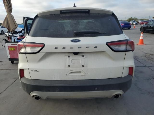 2021 Ford Escape SEL