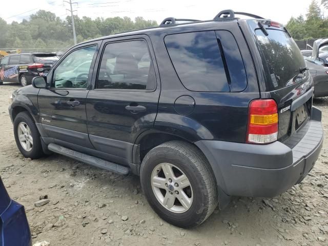 2006 Ford Escape HEV