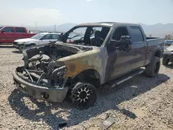 Salvage trucks for sale at Magna, UT auction: 2013 Ford F150 Supercrew